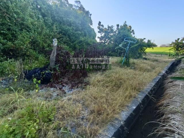 嘉義農地-10