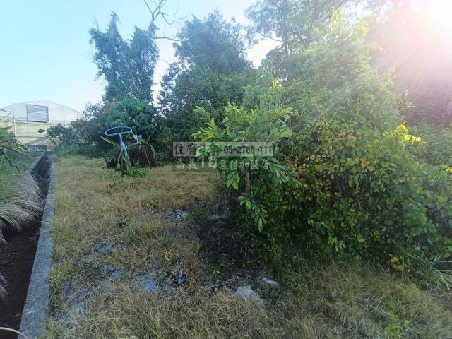 嘉義農地-11