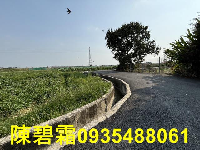 新化農地-6