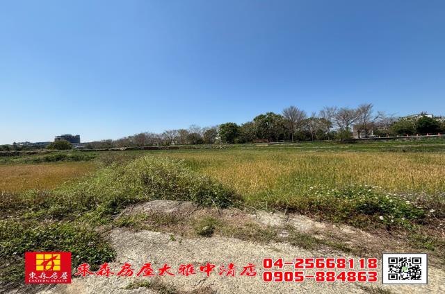 台中農地-2