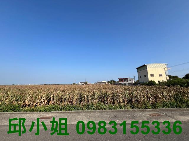 義竹農地-1