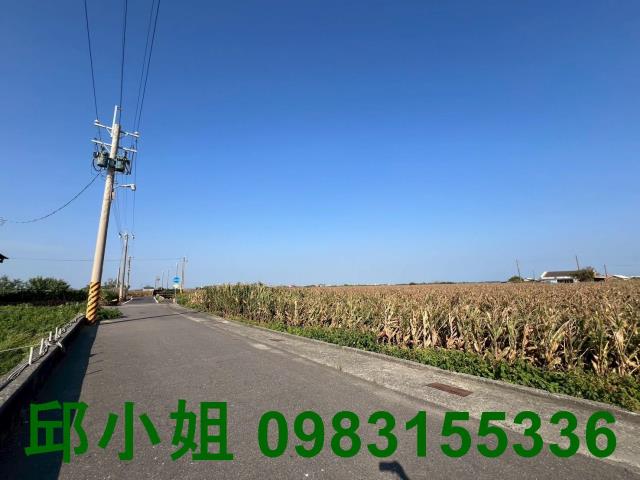 義竹農地-2