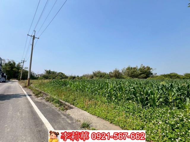 東山農地-9