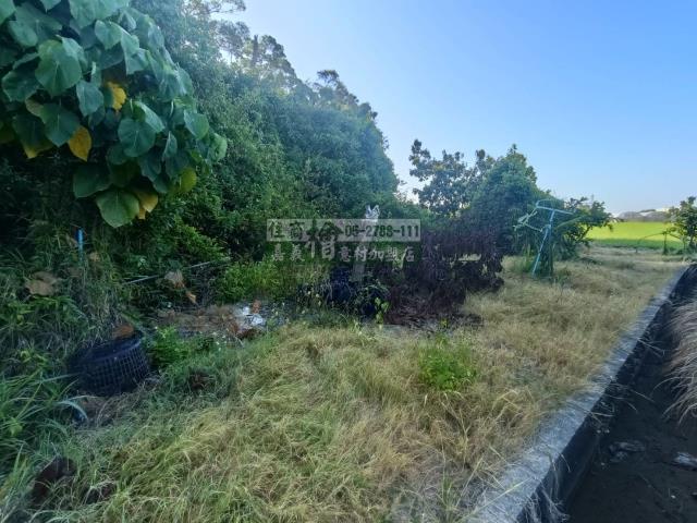 嘉義農地-6