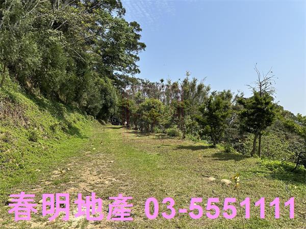 新竹關西林地-5