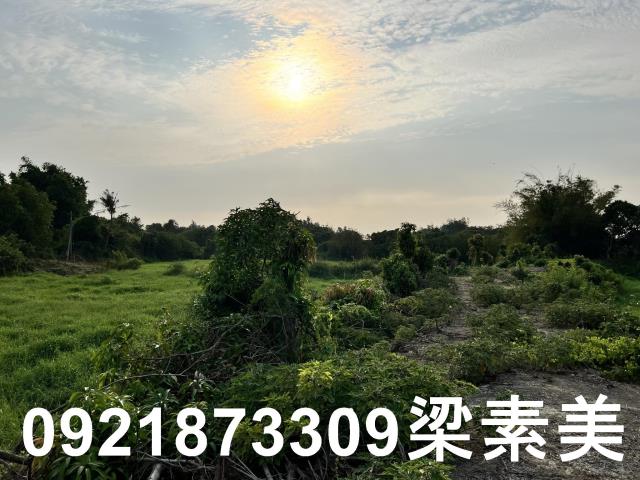 柳營農地-14