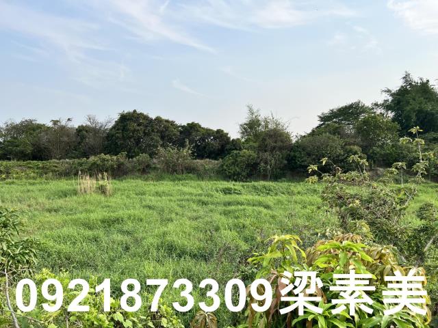 柳營農地-2