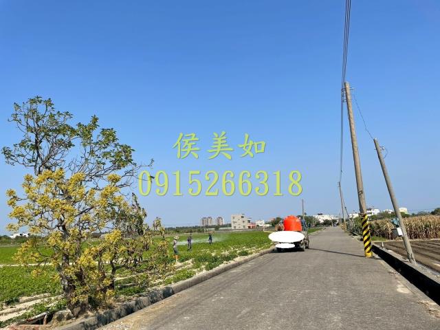 嘉義農地-5