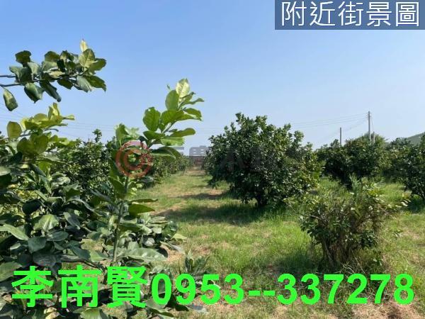 台南佳里農地-1