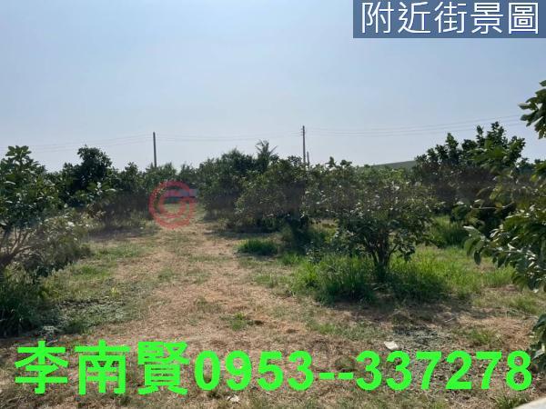 台南佳里農地-2