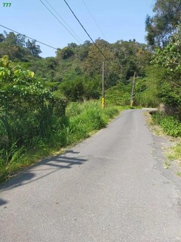 仁武農地-4
