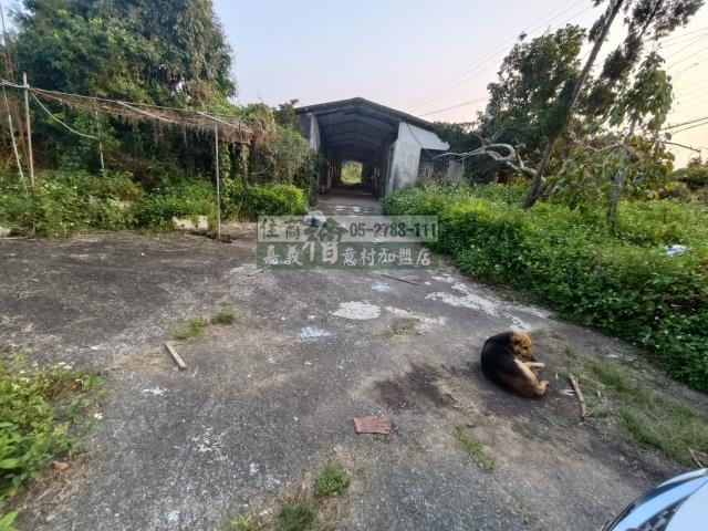 中埔農地-1