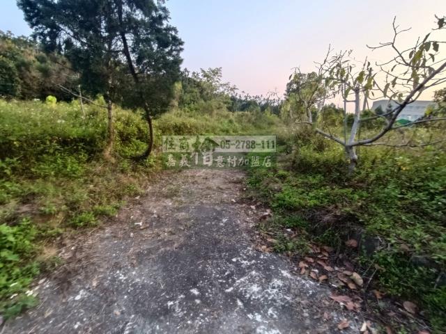 中埔農地-2