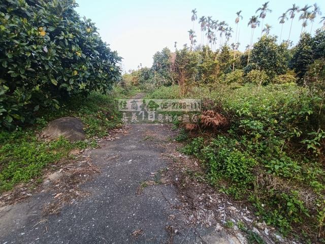 中埔農地-3