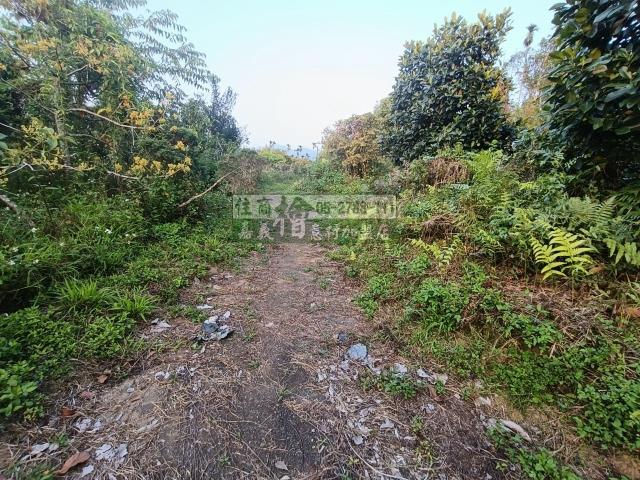 中埔農地-4