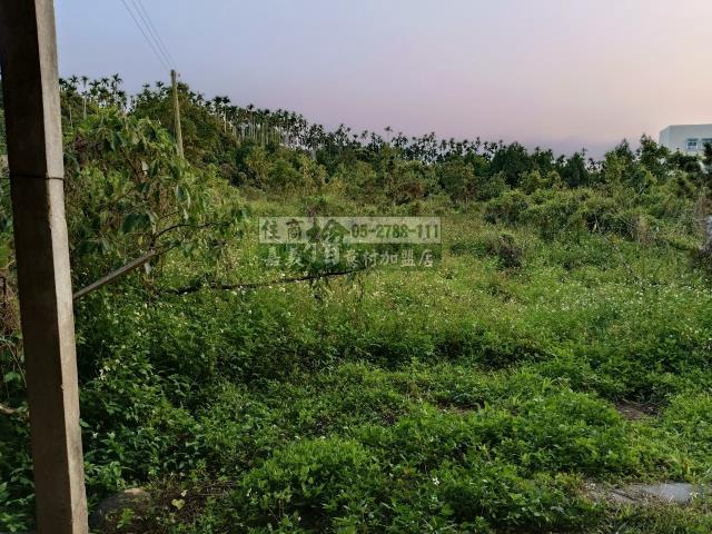 中埔農地-6