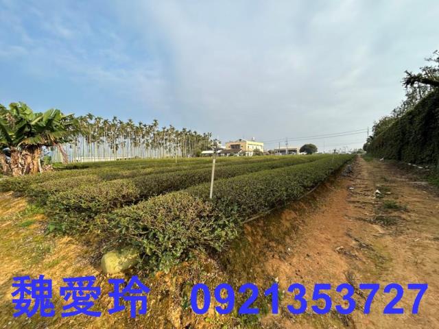 名間農地-2