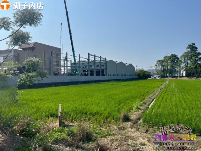 嘉義農地-2