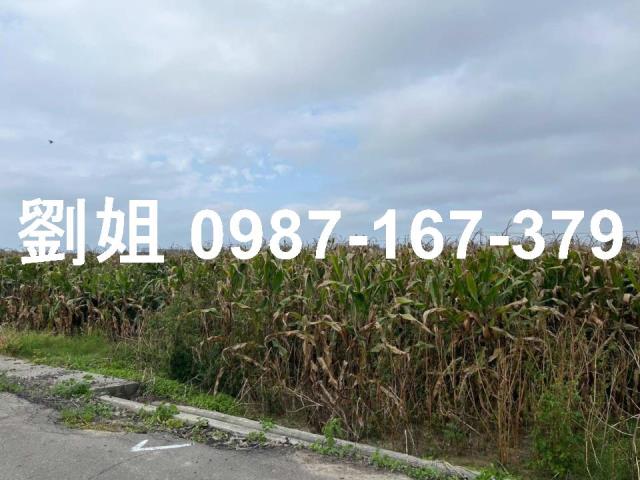 台南安定農地-3