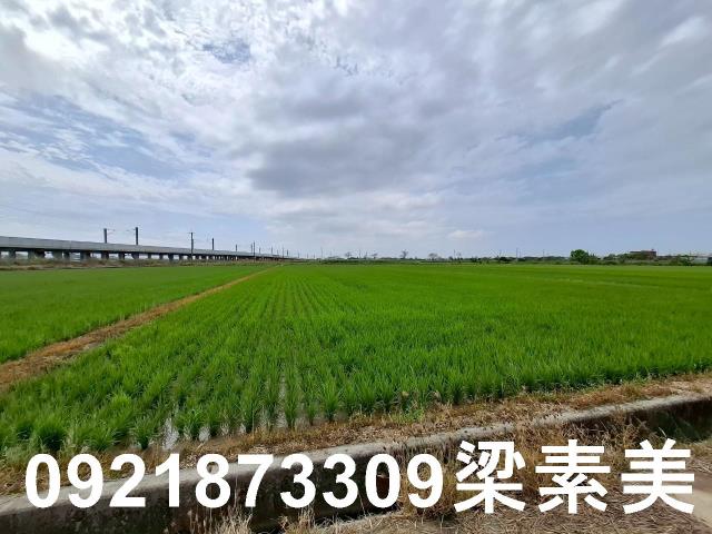 六甲農地-9