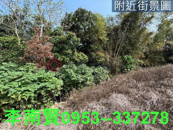 台南大內農地-13