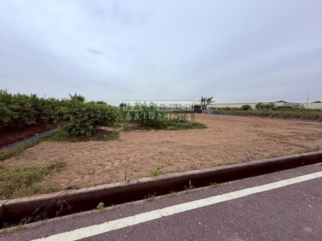 嘉義新港農地-6