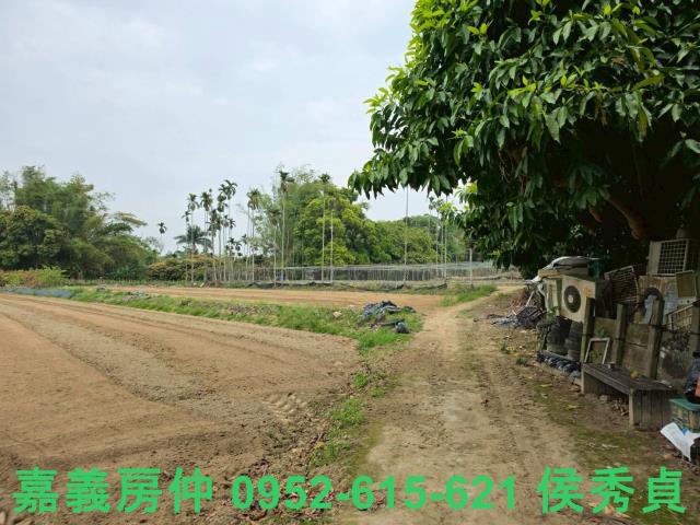 嘉義東區建地-4