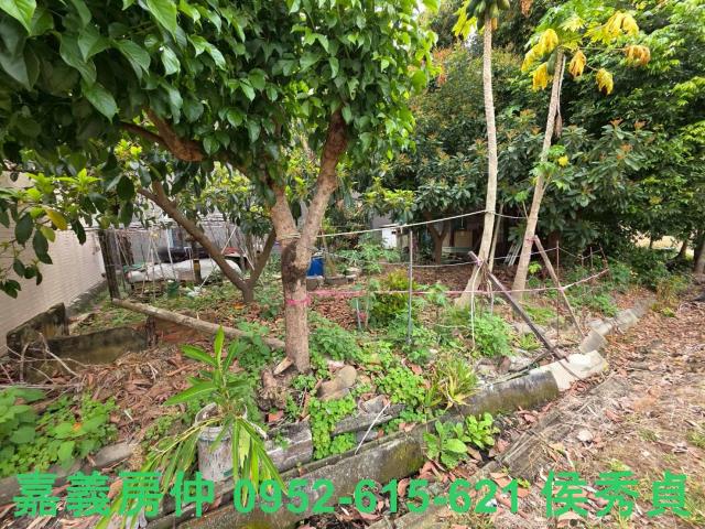 嘉義東區建地-5