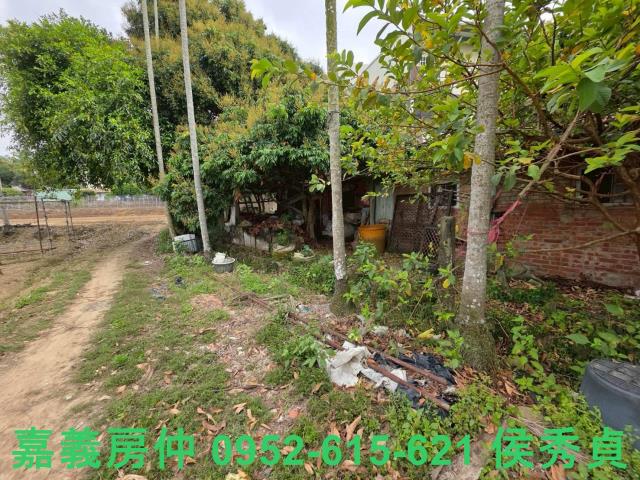 嘉義東區建地-6