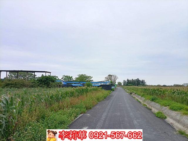 台南七股農地-4