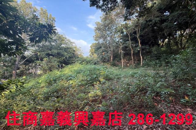 番路農地-4