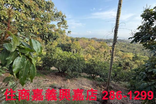 番路農地-6