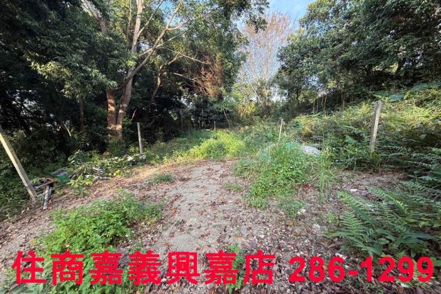 番路農地-7