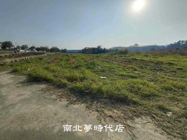 歸仁農地-10