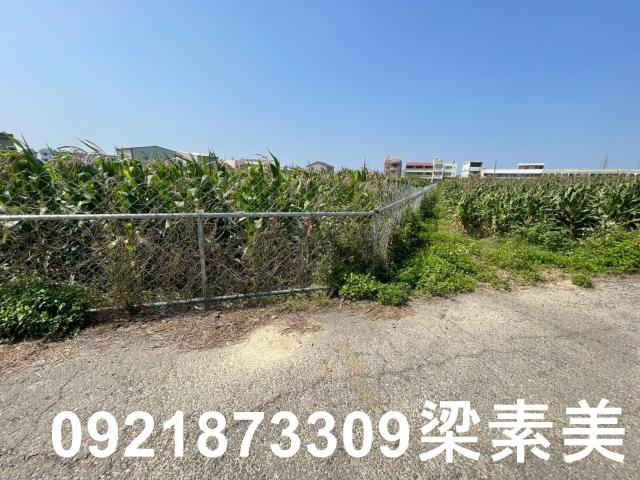 台南新營農地-10