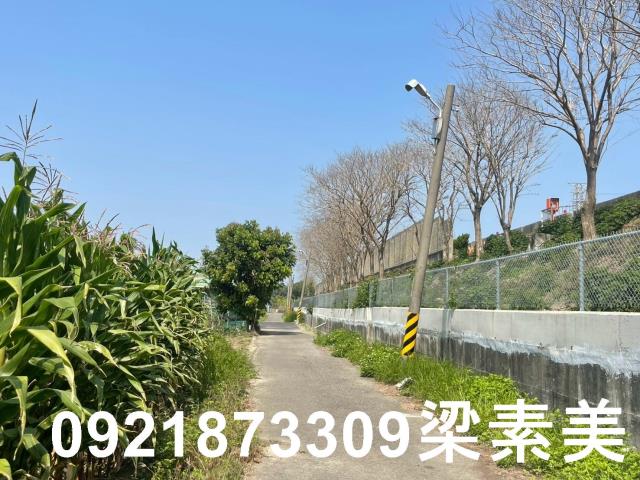 台南新營農地-8