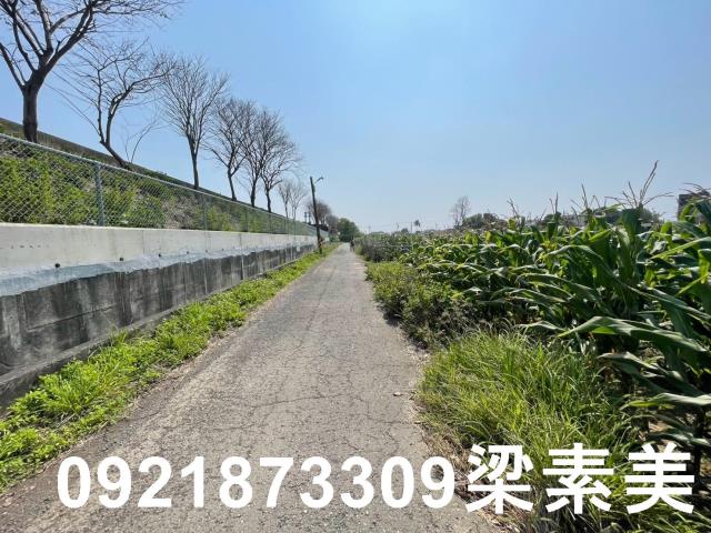 台南新營農地-9