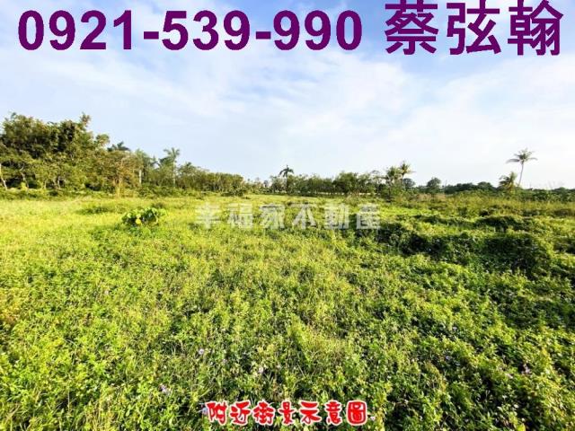 台南歸仁農地-1