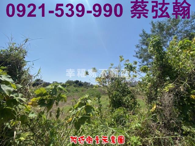 台南歸仁農地-2