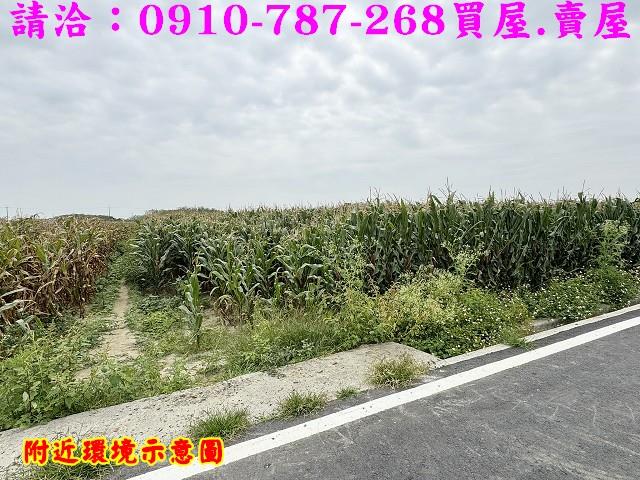 台南下營農地-15
