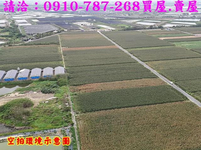 台南下營農地-5