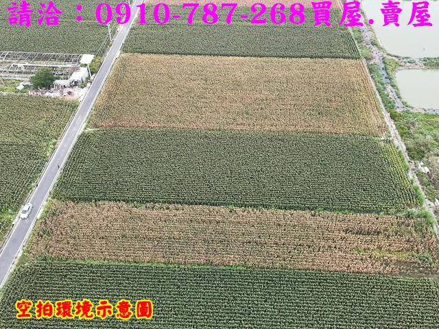 台南下營農地-8