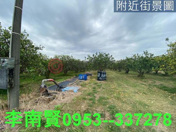麻豆農地-8