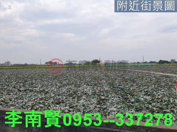官田農地-7