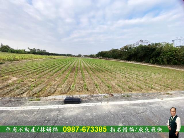 台南農地-2