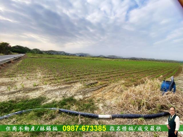 台南農地-3