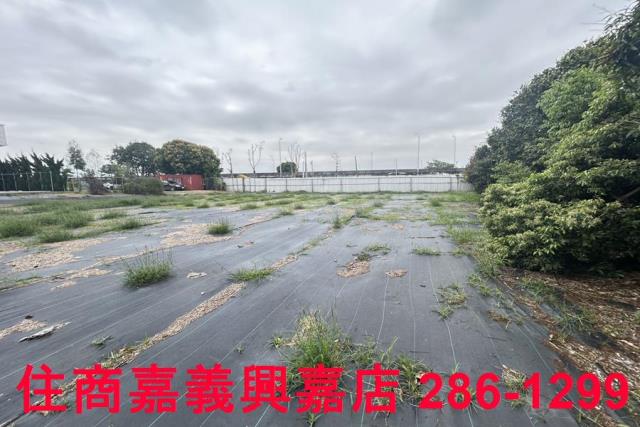 民雄農地-1
