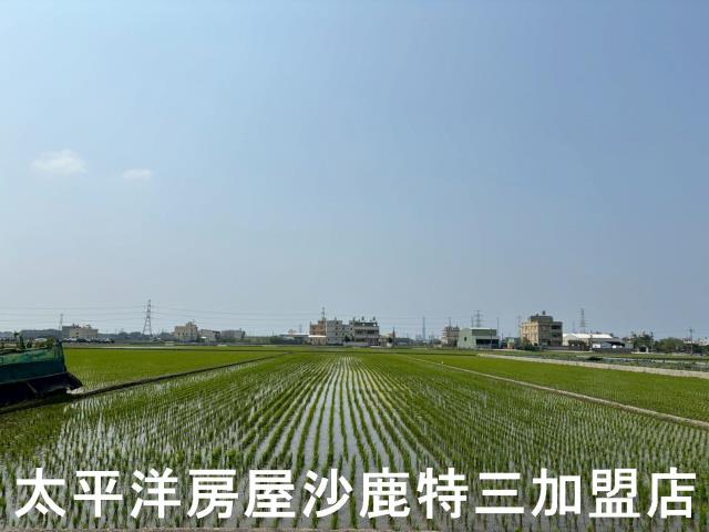 龍井農地-1