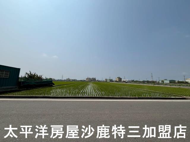 龍井農地-2