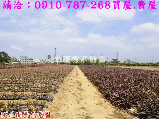 台南關廟農地-10